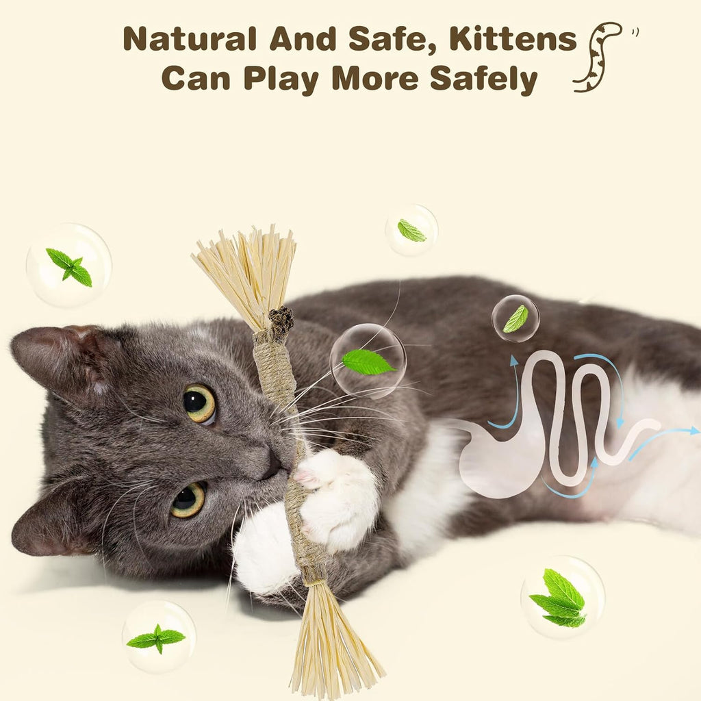 Cat playing with Sinrobo silvervine chew stick