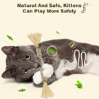 Cat playing with Sinrobo silvervine chew stick
