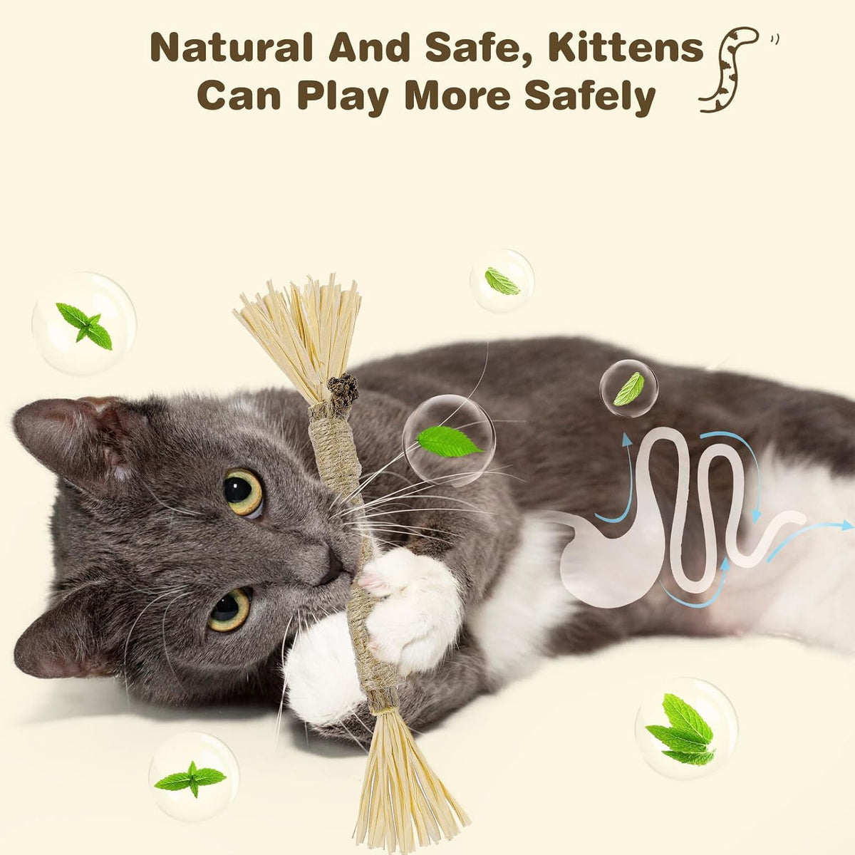 Cat playing with Sinrobo silvervine chew stick