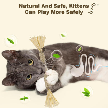 Cat playing with Sinrobo silvervine chew stick