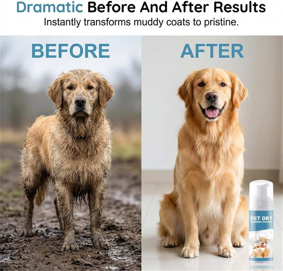 Gentle waterless cleaning mousse being massaged into a cat's soft fur.