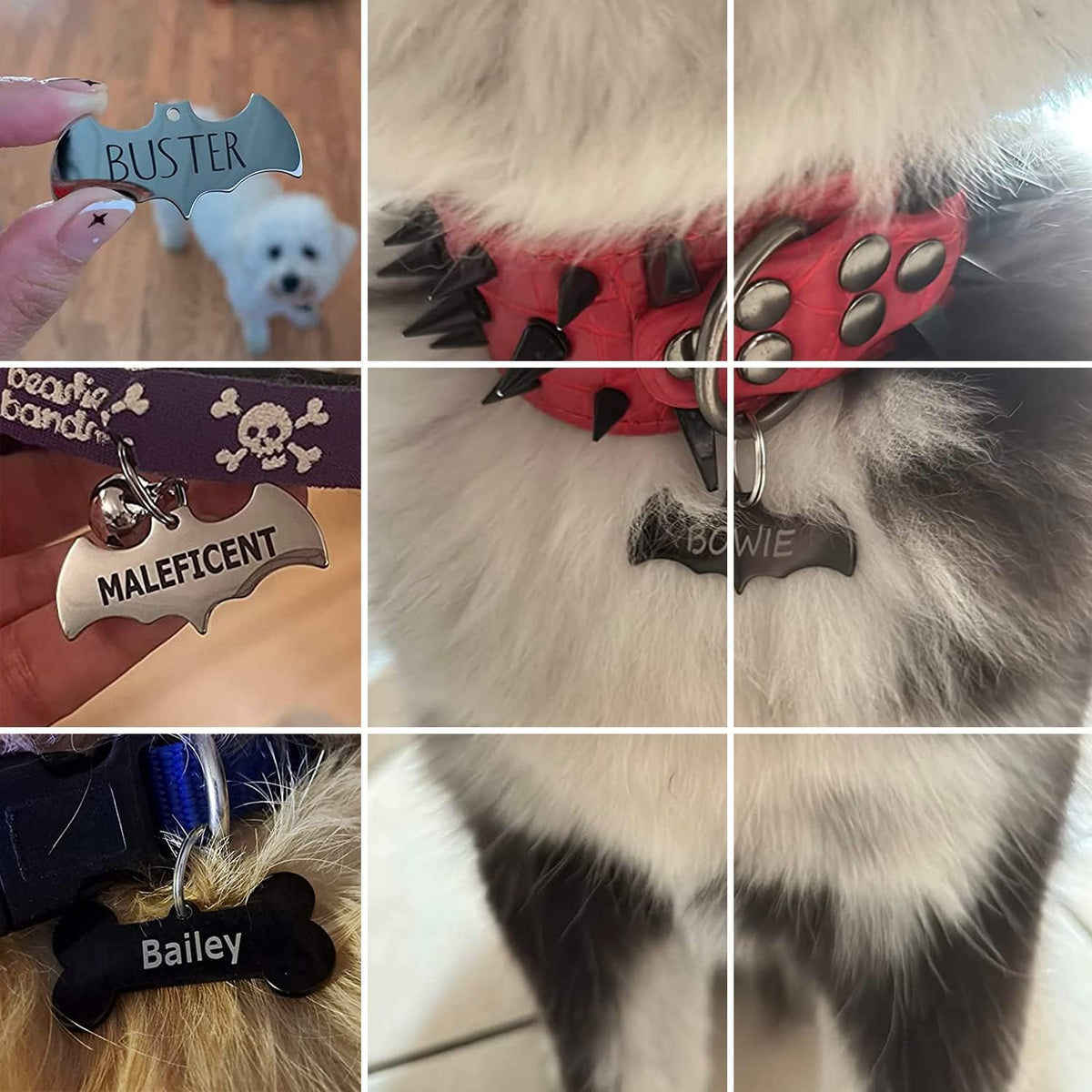 ADOGINTHEHOUSE 316 surgical grade steel cat identity tag close up