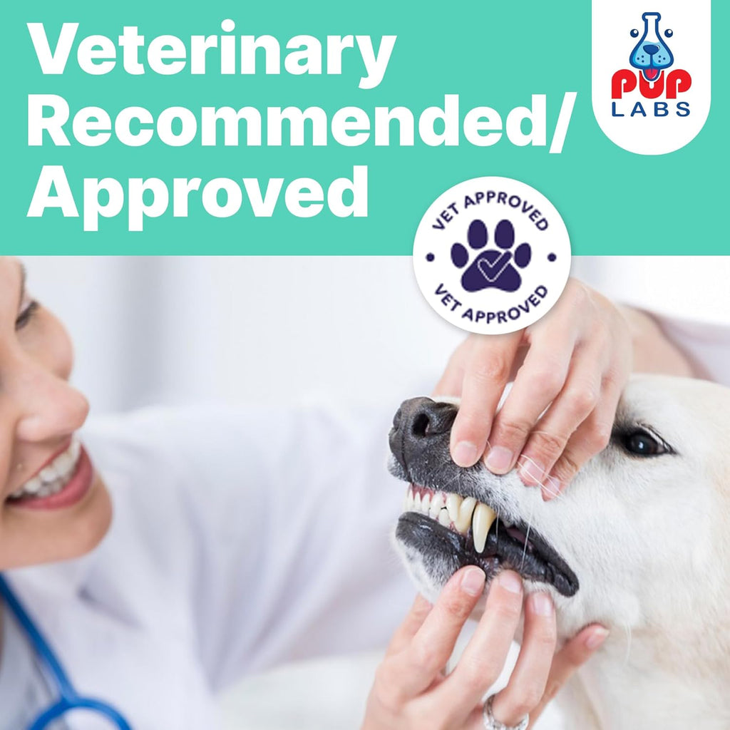 Pup Labs ProDenta pet dental care powder for fresh breath close up