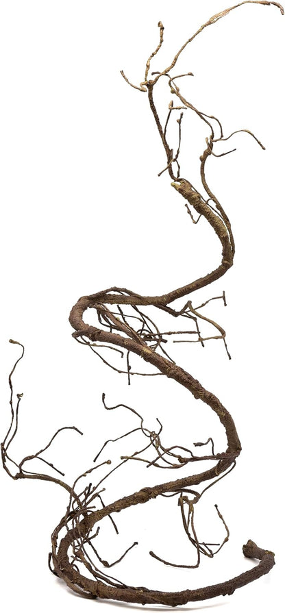 Pangea Reptile Ultimate Vine Brown full view