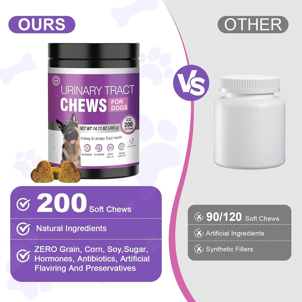 Premium imported pet wellness supplements for urinary health on plain background