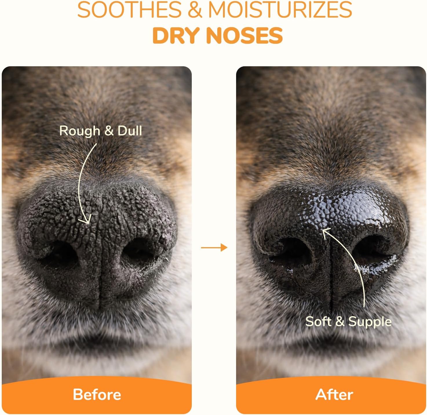 Protective wax balm for dog paws against hot pavement