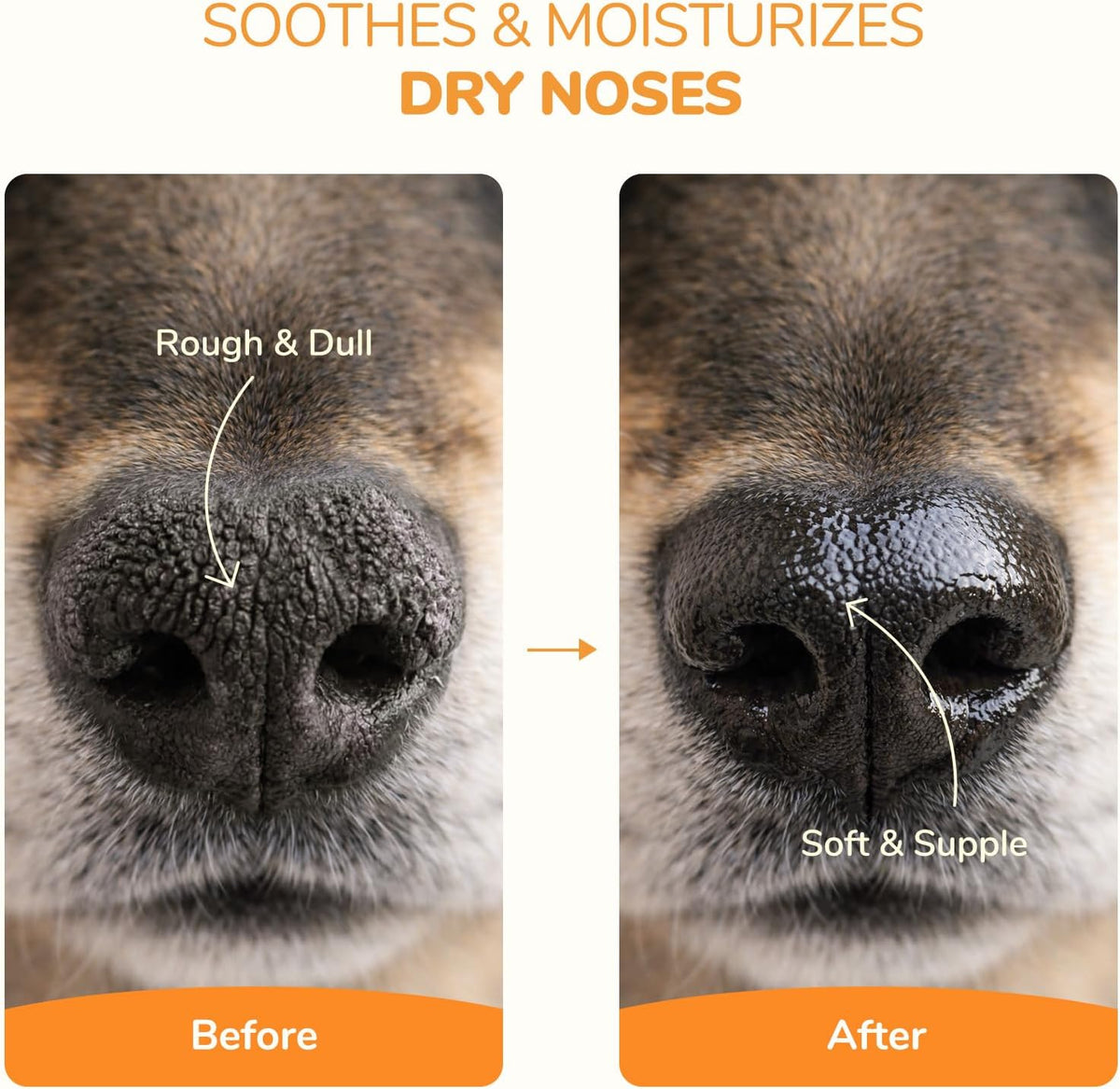 Protective wax balm for dog paws against hot pavement