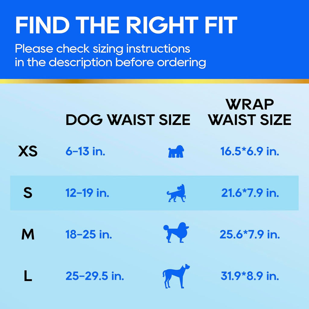 Small male dog wrap with color changing wetness indicator strip detail