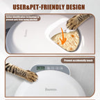 Cordless automatic pet feeder four meal compartment layout for kittens and puppies