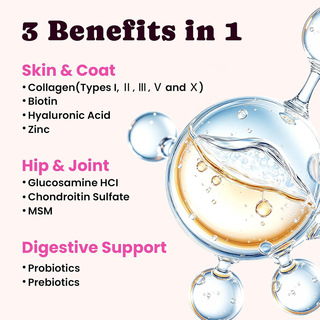 Premium pet collagen supplement with MSM and biotin for dog allergy and itch relief