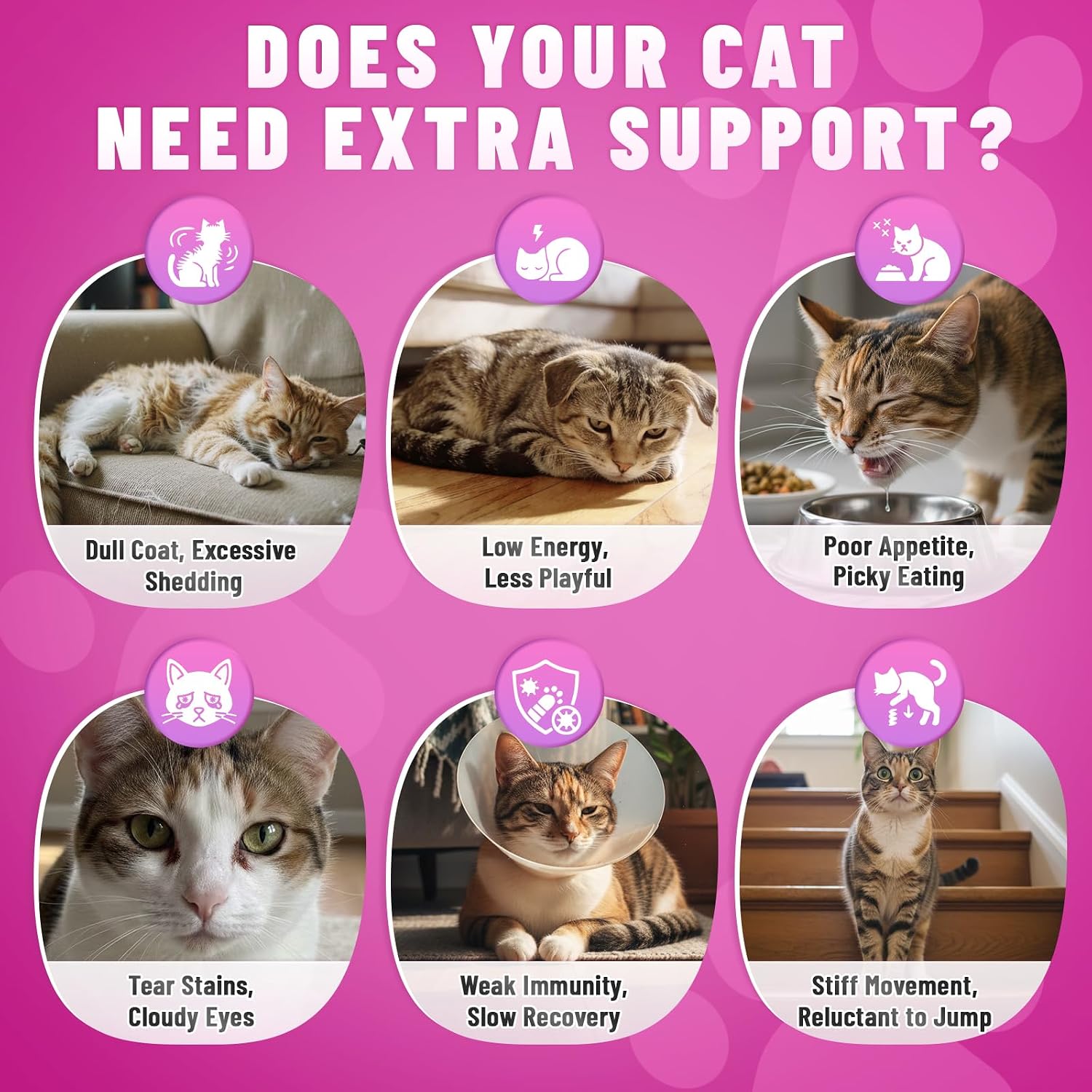 Carmelie taurine treats for cats supporting heart and vision health