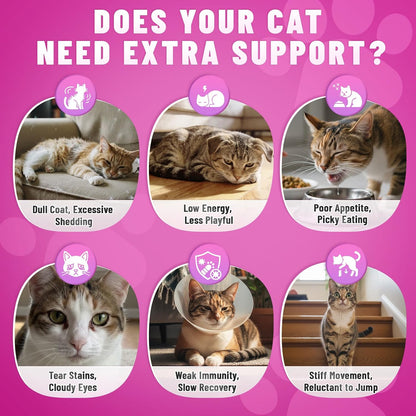 Carmelie taurine treats for cats supporting heart and vision health