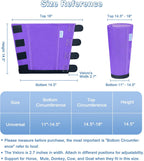 WARMWOW loose fitting fly boots for horses showing mesh texture.