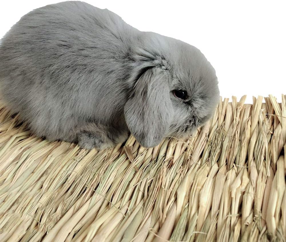 Hamiledyi small animal grass mat close up texture