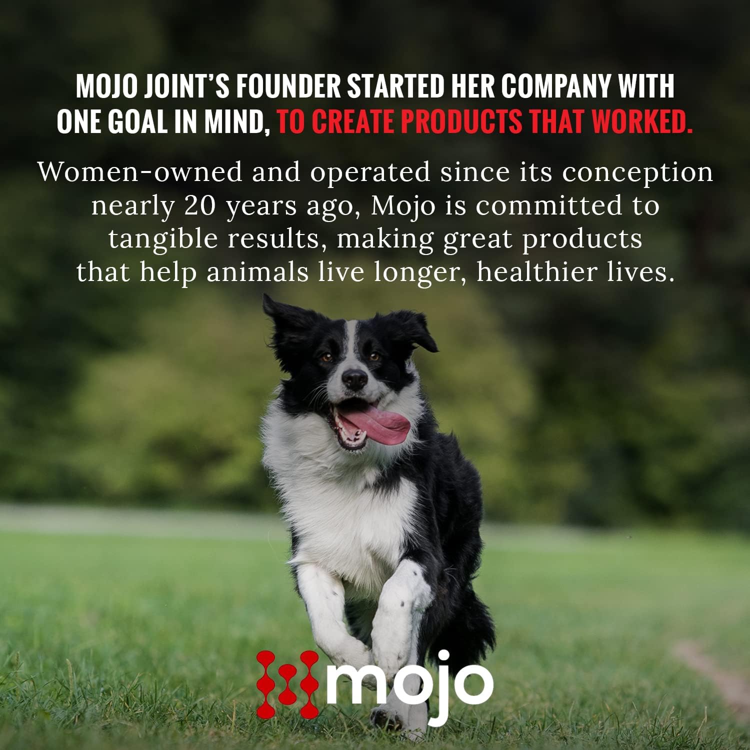Instructions on Mojo hip and joint pet supplement pouch