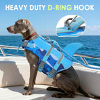 Small breed dog wearing high buoyancy shark fin swimming vest.