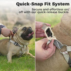 Adjustable no pull dog harness with metal D-rings