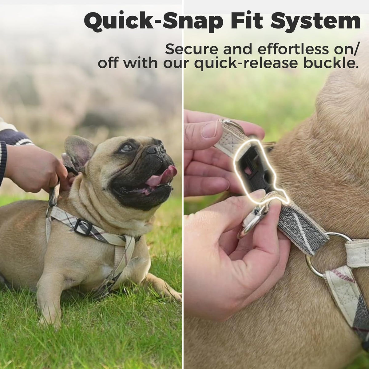 Adjustable no pull dog harness with metal D-rings