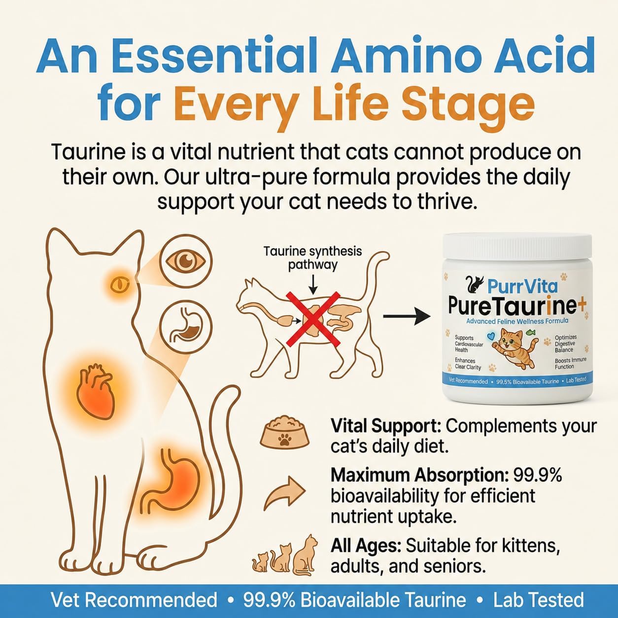 Feline taurine powder being sprinkled over wet cat food