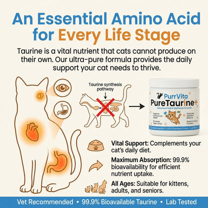 Feline taurine powder being sprinkled over wet cat food