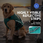 Asenku imported dog life jacket back view with metal leash D ring
