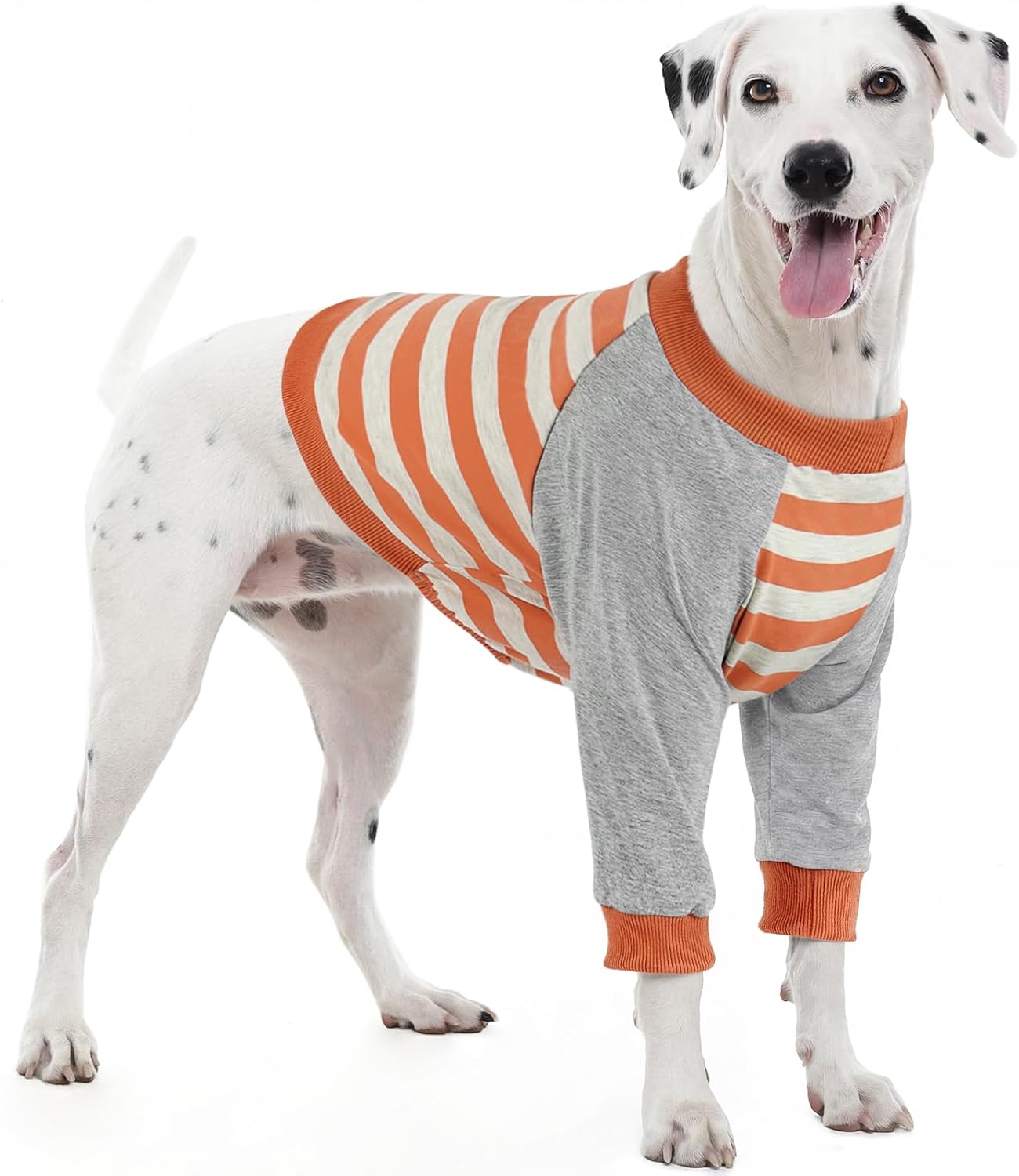 FUAMEY Dog Recovery Sleeve with Elbow Protector,Dogs Shirt Stop Licking Joints,Pet Long Sleeve Suit Protecting Dog's Front Leg Arm Wounds Cover Skin Conditions Blue Stripe XL - Image 14