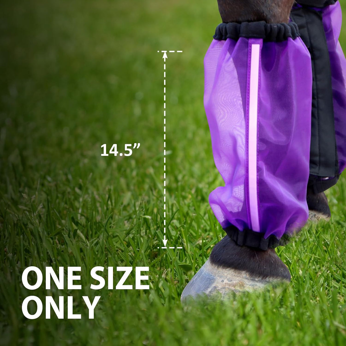 CareMaster horse leggings bundle pack containing four matching purple pasture wraps.
