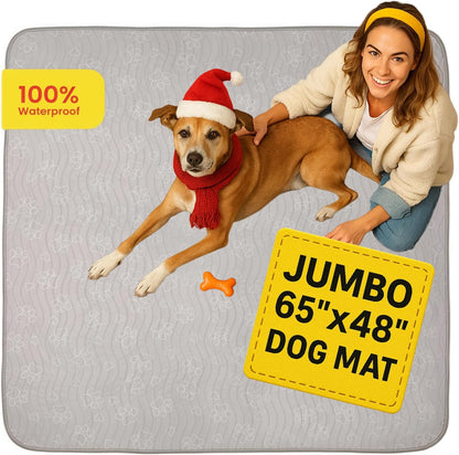 Puppy sitting on Improvia washable training pad