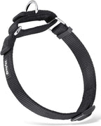 Hyhug Martingale Collar for Dogs Large Green |Escape - Proof Heavy Duty Nylon Durable No Pull, Ideal for Training & Daily Walks - Image 14