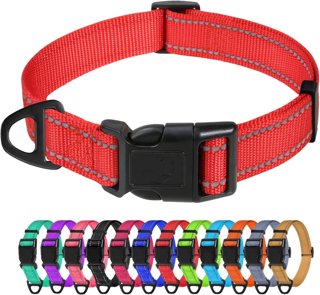 TagME Dog Collars for Small Dogs, Reflective Nylon Pet Collar with Quick Release Buckle, Small Dog Collar for Boys, Sky Blue, 3/8" Width - Image 11