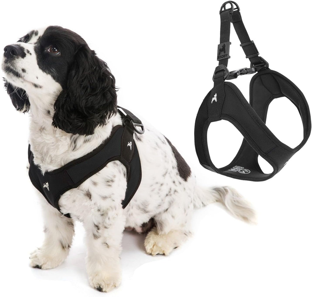 Gooby - Escape Free Easy Fit Harness, Small Dog Step-in Harness for Dogs that Like to Escape Their Harness, Turquoise, Small - Image 12