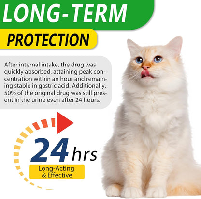 Alivo feline UTI and allergy relief supplement bottle close-up.