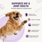 TTLXRL hip and joint chews for dogs chicken flavor soft treats side panel