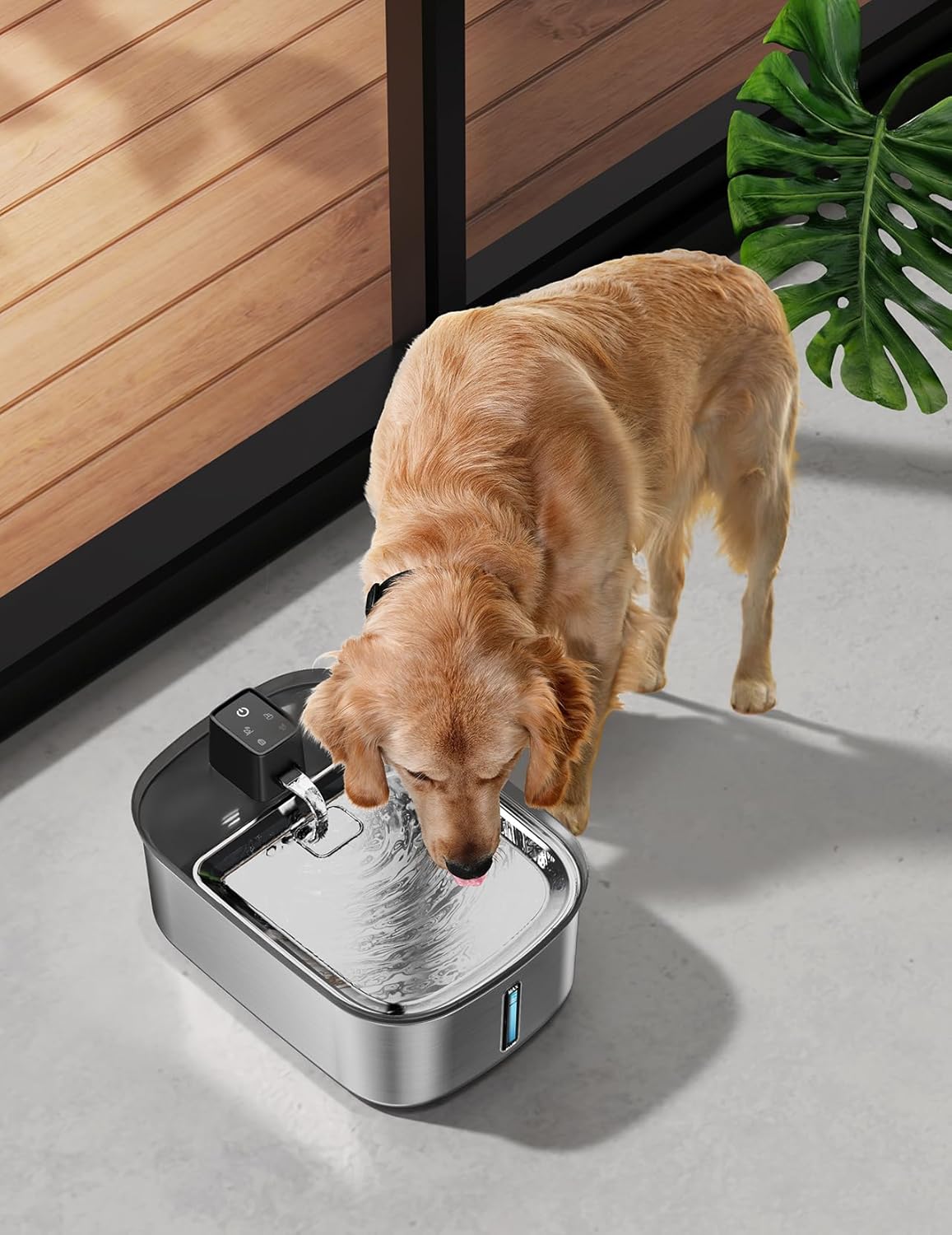 Close up of Chumajor pet fountain motion sensor and flow