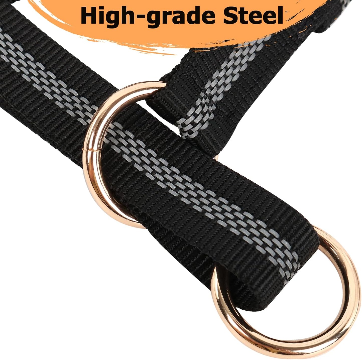 Reflective training tool for dogs in black
