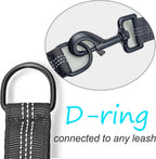 Mycicy 21 inch bungee dog lead extension stretching to 29 inches under tension