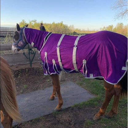 Tech Equestrian horse summer sheet showing detachable belly band detail