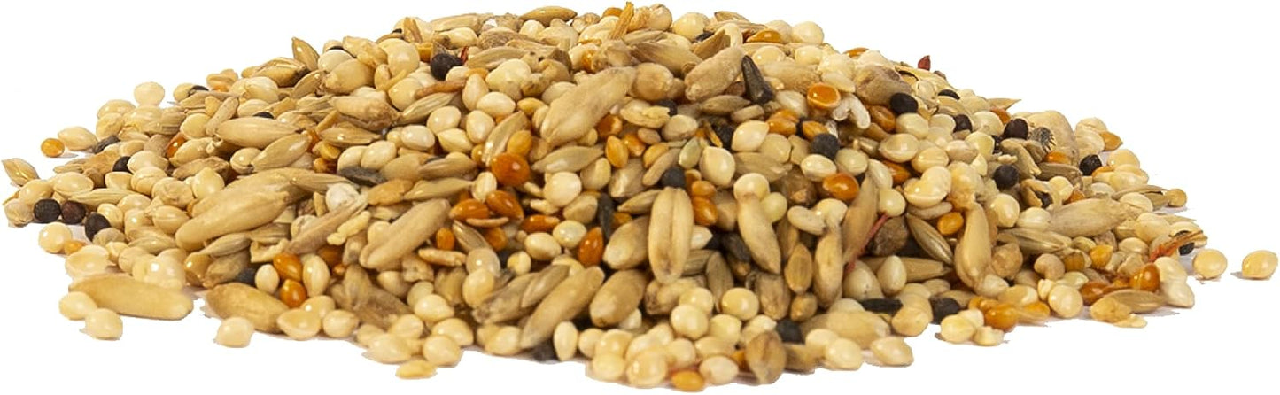 Back label of Wild Harvest healthy benefits bird food supplement with instructions.