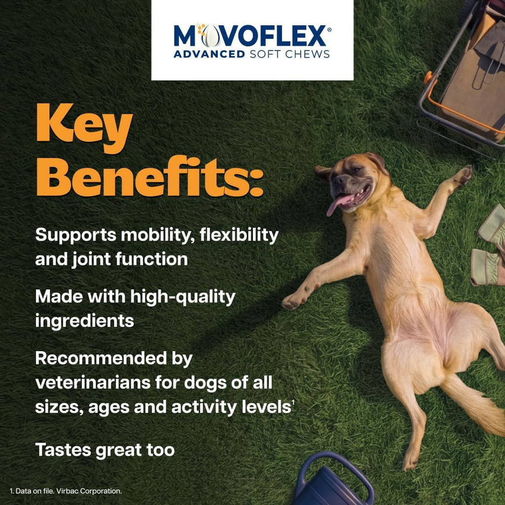 Nutrient rich eggshell membrane and krill oil dog joint chew back label view.