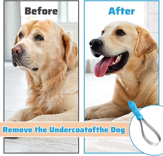 WADY pet grooming loop brush showing the fine teeth side for removing short loose hair.