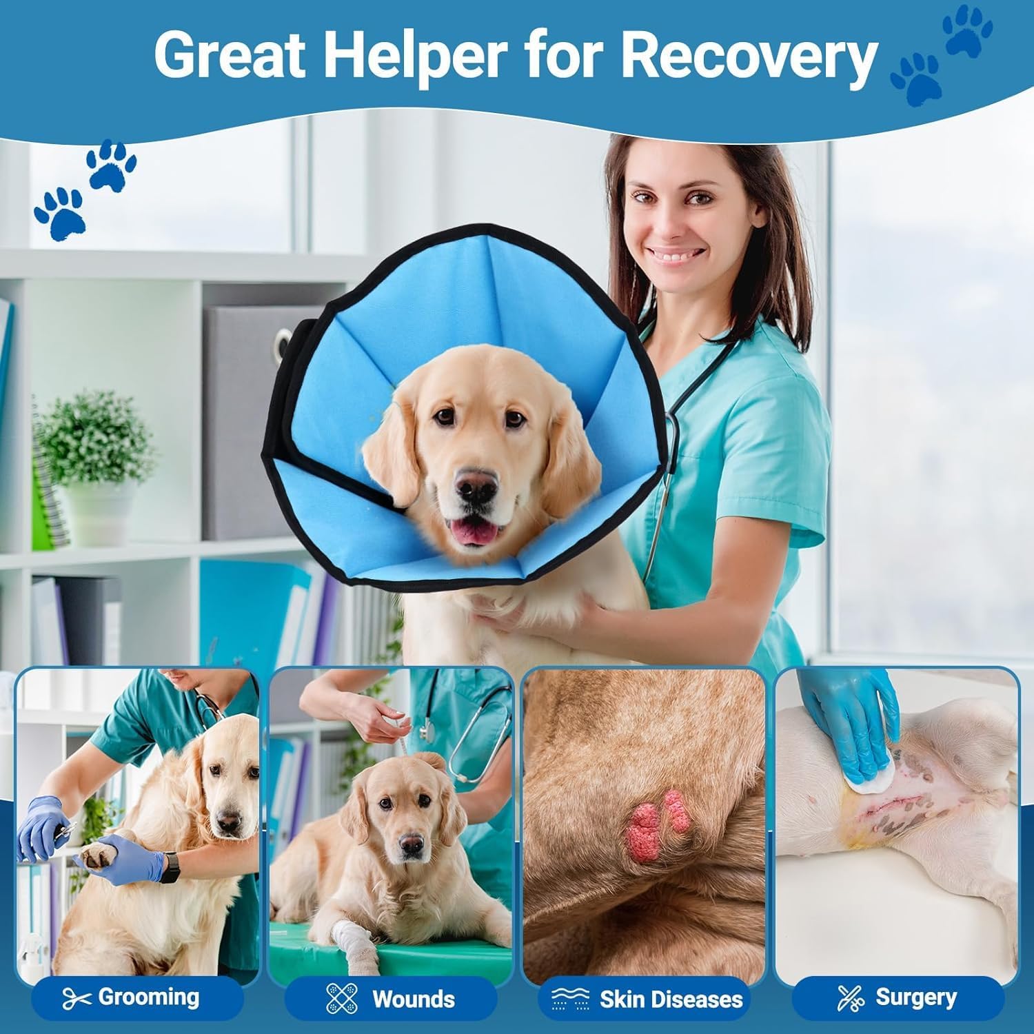 Extra large blue post surgery pet protective cone collar preventing a dog from licking wounds.