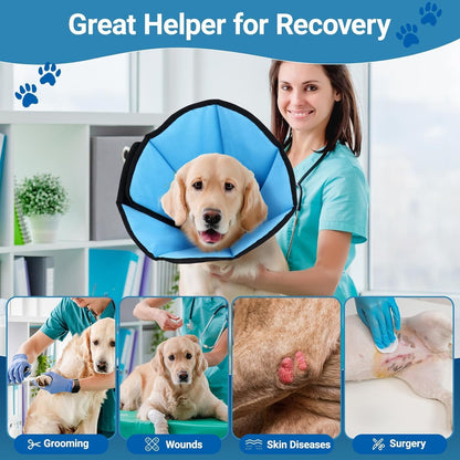 Extra large blue post surgery pet protective cone collar preventing a dog from licking wounds.