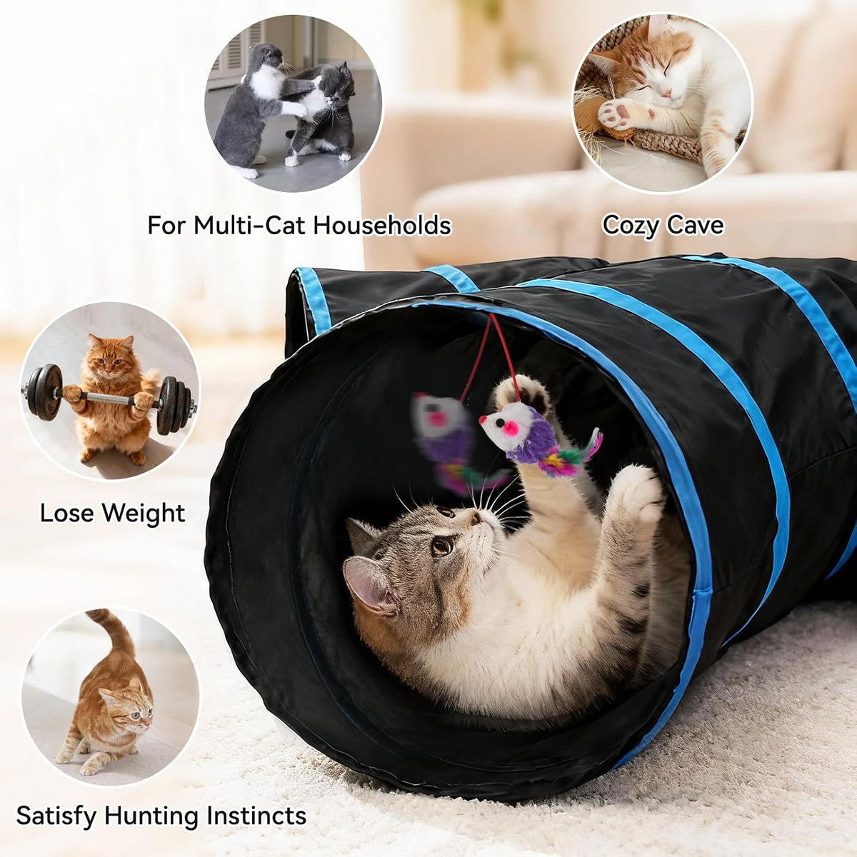 Collapsible multi-cat tunnel compressed flat and packed neatly inside its black zippered storage bag.