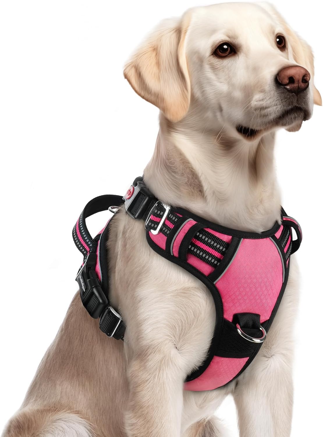 Rabbitgoo No Pull Dog Harness front view pink large pet vest on a golden retriever