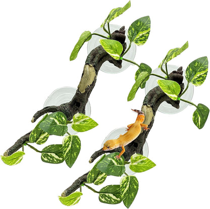 Fhiny snake climbing branch front view in terrarium