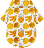 Side profile of dog in tropical beach shirt