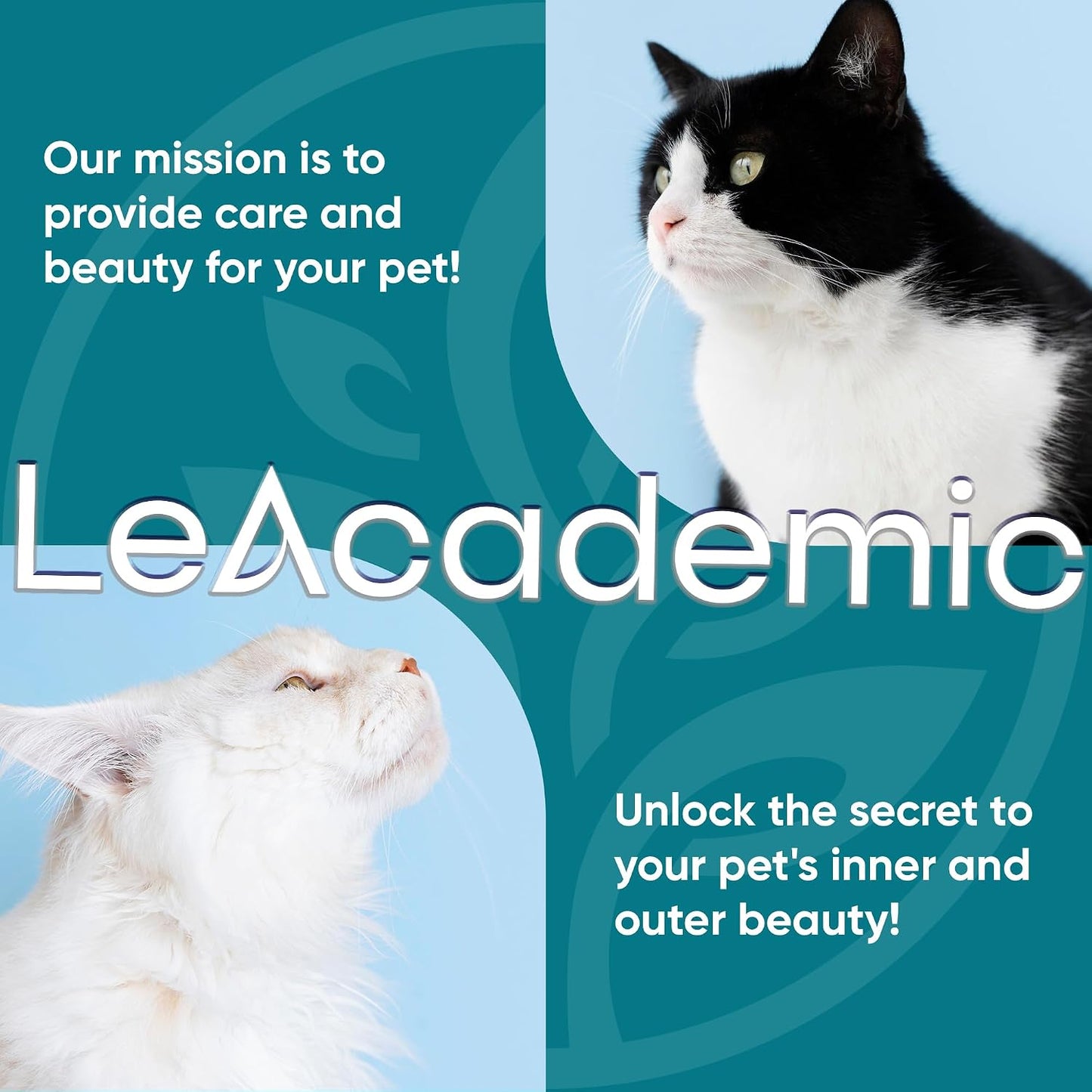 LeAcademic four ounce feline recovery spray alongside a protective cat cone