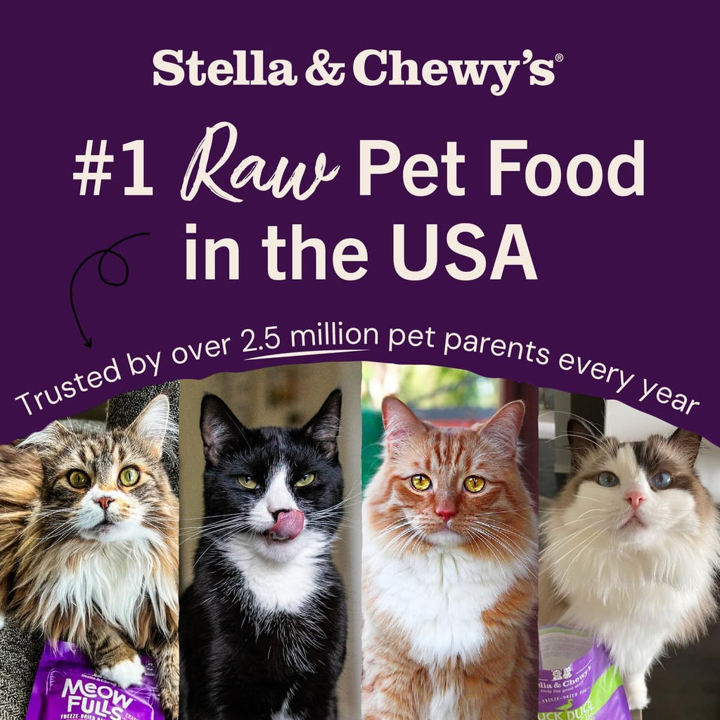 Stella & Chewy's Freeze-Dried Chicken Cat Food rehydration demonstration