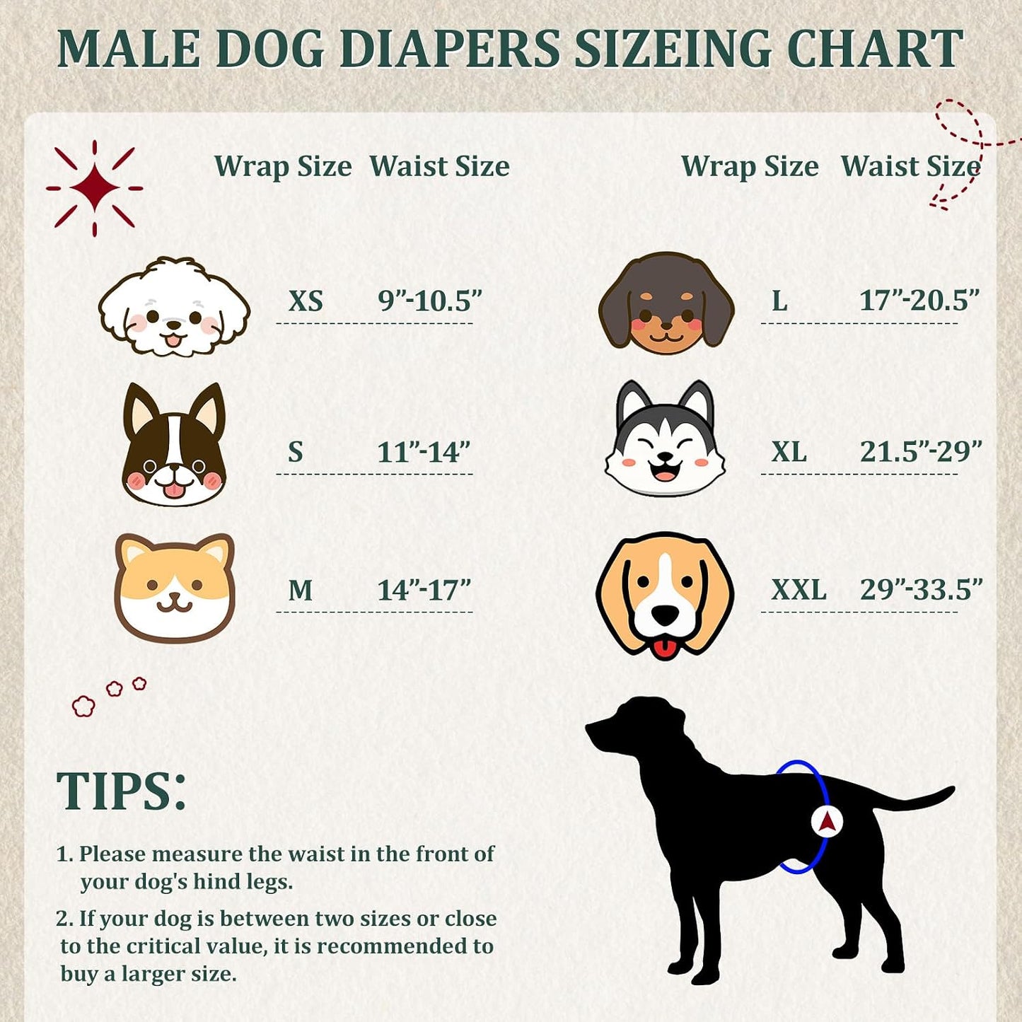 Premium male dog wraps with secure double stitched hook and loop fasteners