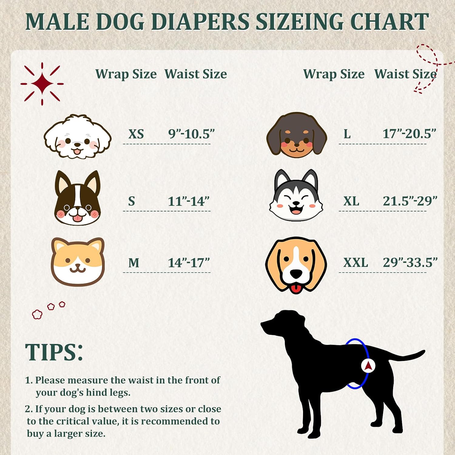 Premium male dog wraps with secure double stitched hook and loop fasteners